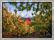 Stany Zjednoczone, Oregon, Stratowulkan, Góra, Mount Hood, Dom, Drzewa owocowe