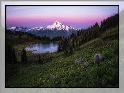 Stany Zjednoczone, Park Narodowy Mount Rainier, Góry, Mount Rainier, Jezioro, Tipsoo Lake, Drzewa