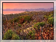 Stany Zjednoczone, Kalifornia, Park Stanowy Montana de Oro, Zachód słońca, Wzgórza, Krzewy, Roślinność