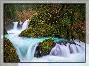 Rzeka, Salmon River, Wodospad Spirit Falls, Hrabstwo Skamania, Stan Waszyngton, Stany Zjednoczone, Skały, Roślinność