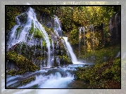 Stany Zjednoczone, Stan Waszyngton, Las, Drzewa, Wodospad, Panther Creek Falls, Gifford Pinchot National Forest