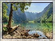 Drzewa, Jezioro, Obersee, Góry, Alpy Berchtesgaden, Bawaria, Niemcy