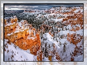 Zima, Śnieg, Góry, Skały, Drzewa, Park Narodowy Bryce Canyon, Utah, Stany Zjednoczone