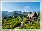 Hala Gąsienicowa, Królowe Rówienki, Droga, Góry, Tatry, Drewniane, Domki, Zakopane, Polska