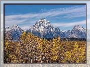 Jesień, Drzewa, Góry, Teton Range, Góra, Mount Woodring, Park Narodowy Grand Teton, Wyoming, Stany Zjednoczone