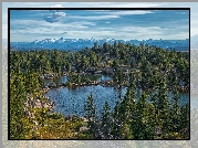 Staw, Kamienie, Drzewa, Świerki, Góry Absaroka, Wyoming, Stany Zjednoczone