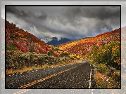 Stany Zjednoczone, Utah, Droga, Loop Road, Góra, Nebo, Chmury, Las, Kolorowe, Drzewa, Jesień