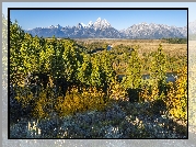 Park Narodowy Grand Teton, Góry, Teton Range, Las, Drzewa, Rzeka Snake River, Stan Wyoming, Stany Zjednoczone
