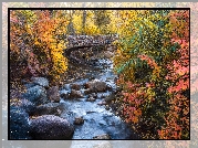 Jesień, Potok, North Cheyenne Creek, Kamienie, Most, Kolorowe, Drzewa, Krzewy, Colorado Springs, Kolorado, Stany Zjednoczone