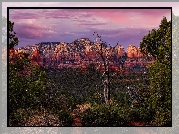 Stany Zjednoczone, Arizona, Sedona, Góry, Wilson Mountains, Skały, Drzewa