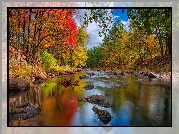 Rzeka, Jesień, Drzewa, Kamienie