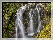 Rzeka, Paradise River, Skały, Rośliny, Stan Waszyngton, Stany Zjednoczone