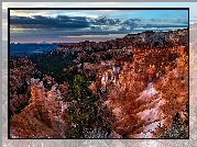 Skały, Drzewo, Sosna, Kolorowe, Niebo, Kanion, Park Narodowy Bryce Canyon, Stany Zjednoczone