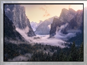 Góry, Las, Opadająca, Mgła, Yosemite Valley, Park Narodowy Yosemite, 
Kalifornia, Stany Zjednoczone