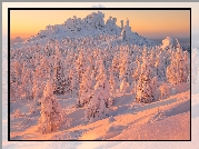 Zima, Drzewa, Świerki, Ośnieżone, Zaspy, Wschód słońca, Góry, Ural, Rosja
