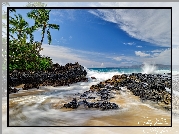 Stany Zjednoczone, Hawaje, Maui, Morze, Palmy, Skały, Plaża