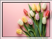 Kwiaty, Kolorowe, Tulipany, Liście, Różowe tło