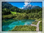 Góry, Las, Drzewa, Jezioro, Rezerwat przyrody Zelenci, Trawa, Pomosty, Kranjska Gora, Słowenia