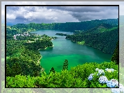 Hortensje, Jezioro Azul, Jezioro Verde, Góry, Lasy, Sete Cidades, Wyspa Sao Miguel, Azory, Portugalia