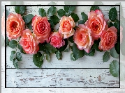 Kwiaty, Róże, Liście, Drewniane, Deski