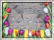 Kwiaty, Tulipany, Kolorowe, Deski