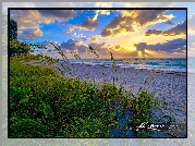 Stany Zjednoczone, Floryda, Wyspa Singera, Singer Island, Riviera Beach, Wschód słońca, Chmury, Morze, Plaża, Trawa, Budynki