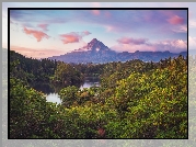 Nowa Zelandia, Wyspa Północna, Park Narodowy Egmont, Góra, Mount Taranaki, Lasy, Drzewa, Rzeka