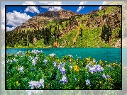 Stany Zjednoczone, Kolorado, San Juan Mountains, Sneffels Range, Blue Lake, Góry, Jezioro, Kwiaty, Łąka, Drzewa, Niebo, Lato