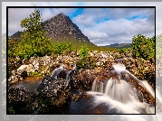 Szkocja, Góry, Buachaille Etive Mor, Rzeka, Coupall River, Kamienie, Drzewa, Chmury
