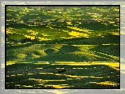Wzgórza, Łąki, Pola, Steptoe Butte State Park, Region Palouse, Stan Waszyngton, Stany Zjednoczone