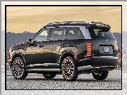 Czarny, Hyundai Palisade