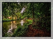 Rzeka, Drzewa, Ścieżka, Kwiaty, Różowe, Rododendrony, Roślinność