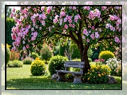 Park, Drzewa, Kwiaty, Ławka, Klomby