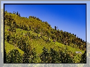 Dom, Drzewa, Wzgórze, Góry, Niebo, Natura