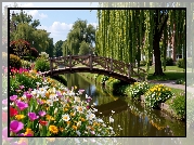 Strumień, Kwiaty, Mostek, Wierzba płacząca, Park