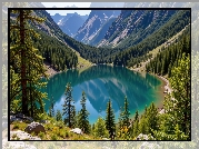 Jezioro, Drzewa, Lasy, Góry, Grafika