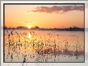 Jezioro, Trzciny, Wschód słońca