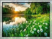 Drzewa, Jezioro, Łąka, Trawa, Kwiaty, Chmury, Zachód słońca