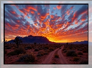 Zachód słońca, Kolorowe, Niebo, Chmury, Góry, Droga, Rośliny