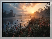 Kwiaty, Jezioro, Promienie słońca, Grafika AI