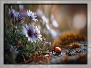 Fioletowe, Kwiaty, Stokrotki afrykańskie, Biedronka, Grafika AI