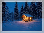 Zima, Drewniany, Oświetlony, Dom, Drzewa