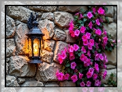 Murowana, Ściana, Świecąca, Lampa, Purpurowe, Kwiaty