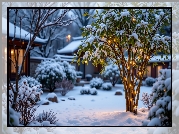 Zima, Ogród, Drzewko, Światełka, Dom, Grafika AI