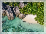 Wyspa, Seszele, Wyspa La Digue, Morze, Skały, Głazy, Plaża, Roślinność