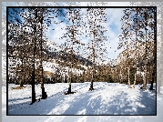 Śnieg, Drzewa, Góry, Zima