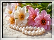 Różowe, Kwiaty, Białe, Korale, Perły
