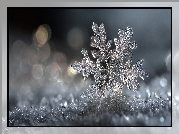 Śnieżynka, Śnieg, Zima, Grafika AI