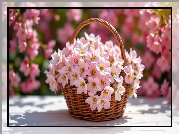 Różowe, Kwiaty, Mały, Wiklinowy, Koszyk