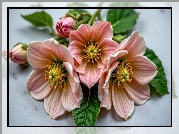 Kwiaty, Pręciki, Liście, Grafika AI